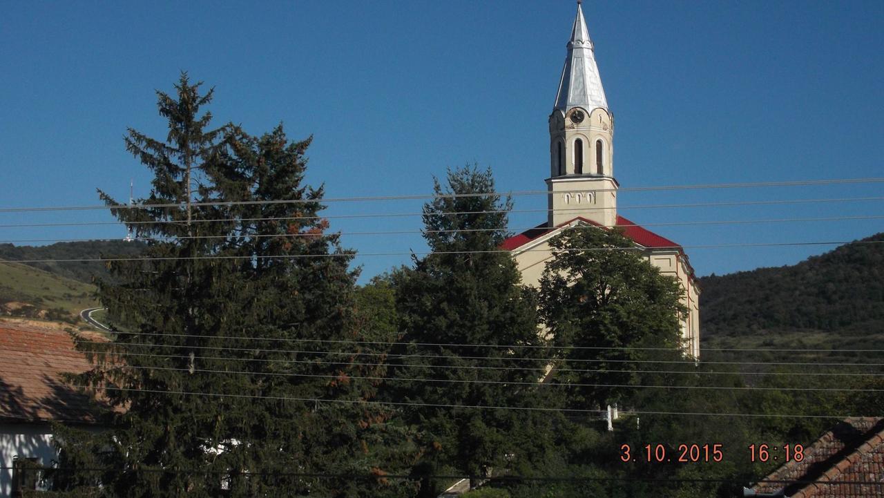 Pensiunea Aurelia Siria Exterior photo